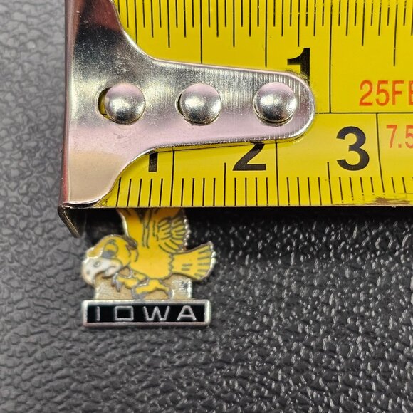 Iowa Hawk Hawkeye Necklace Pendant Bracelet Charm Lindor Sterling - Picture 3 of 4